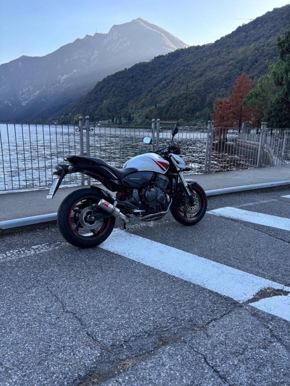 Honda Hornet 600 (2007 - 10) (2)