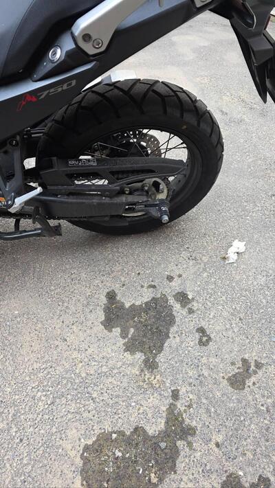 Honda Transalp XL750 Urban (2023 - 24) usata