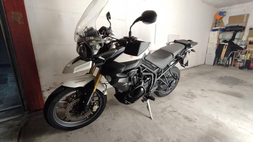 Triumph Tiger 800 ABS (2010 - 14) (3)