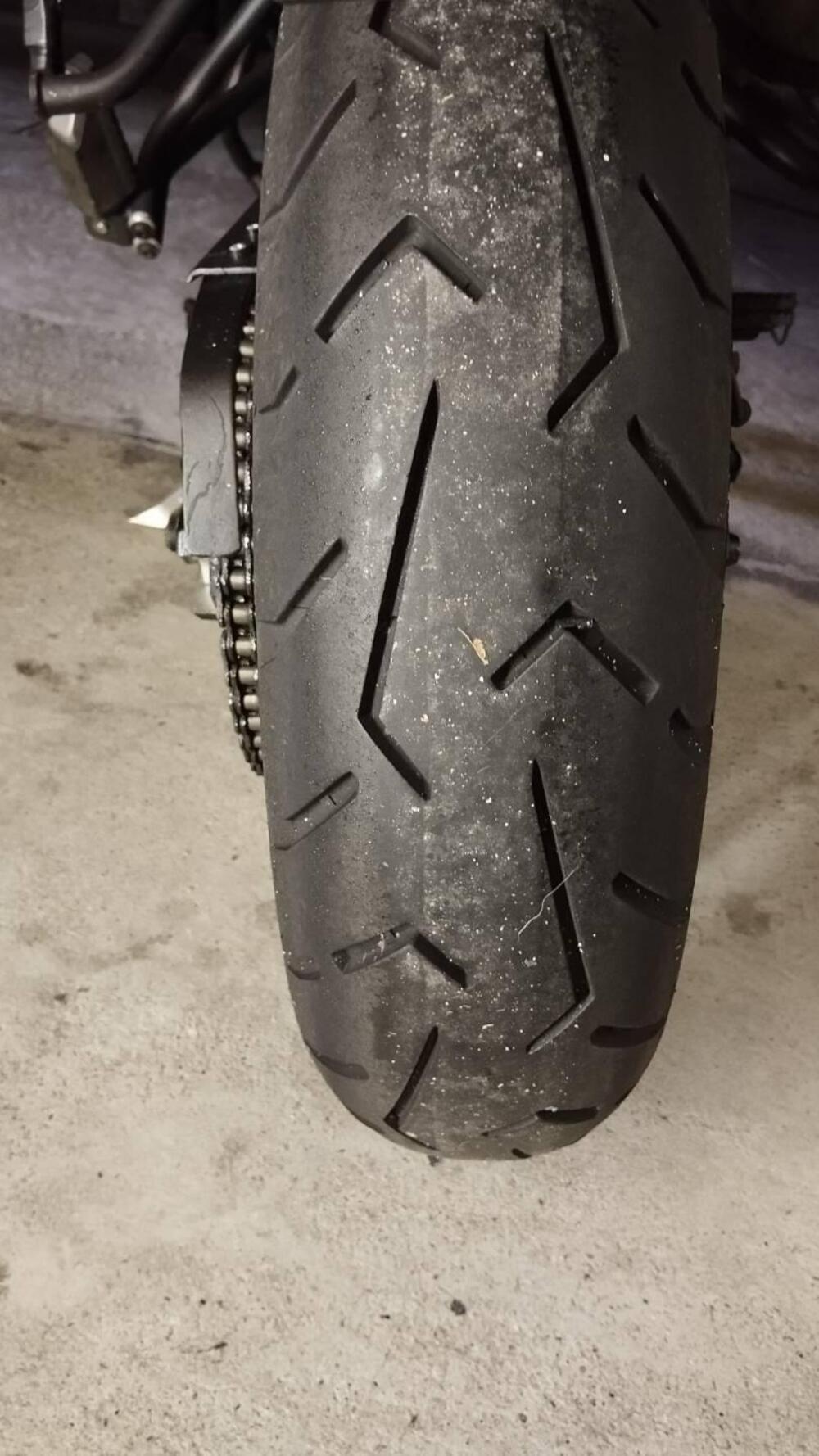 Triumph Tiger 800 ABS (2010 - 14) (5)