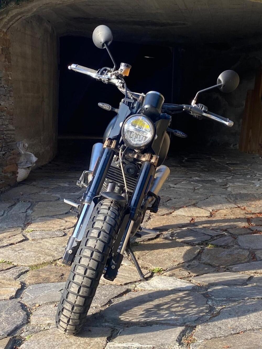 Swm Ace of Spades 500 (2018 - 20) (2)