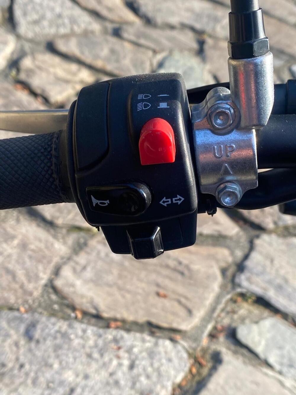 Swm Ace of Spades 500 (2018 - 20) (3)