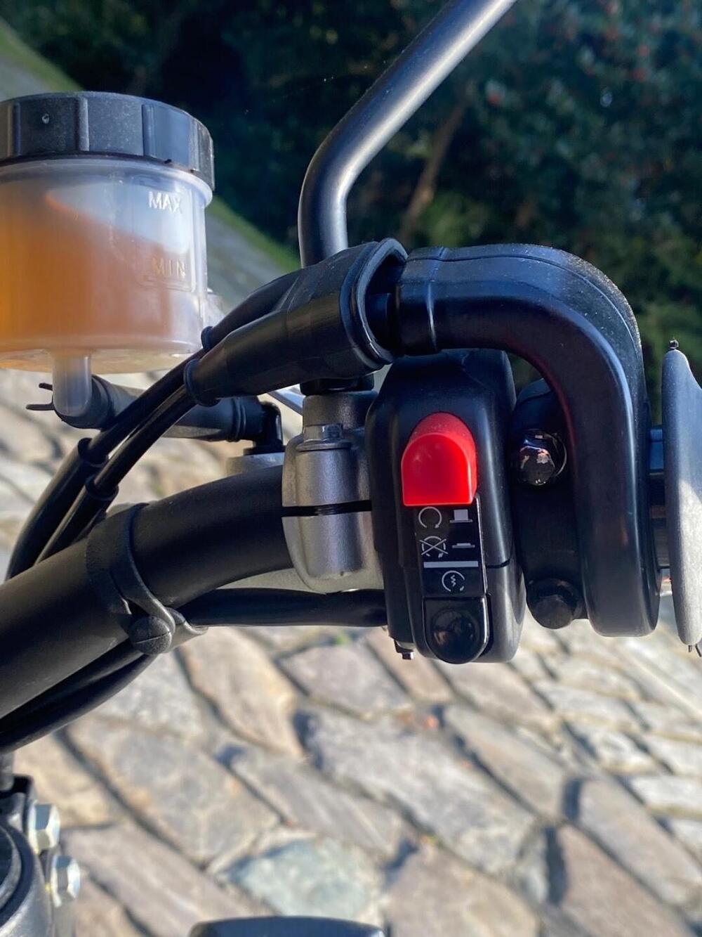 Swm Ace of Spades 500 (2018 - 20) (5)