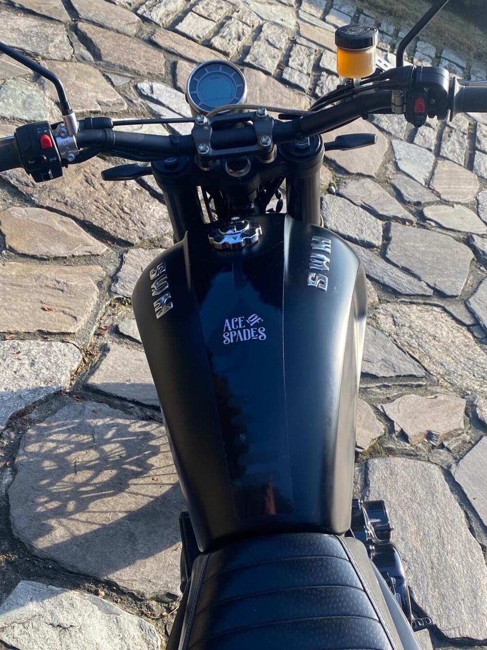 Swm Ace of Spades 500 (2018 - 20) (6)