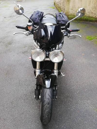 Triumph Speed Triple 955 (1998 - 01) usata
