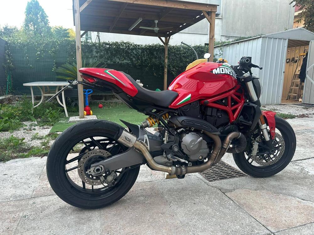 Ducati Monster 821 (2018 - 20) (8)