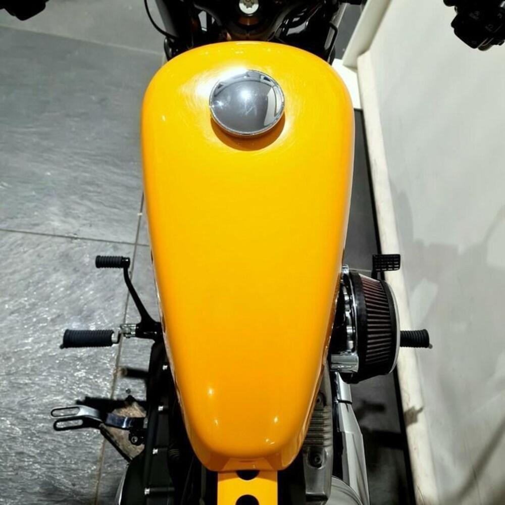 Harley-Davidson 1200 Forty-Eight (2010 - 15) (6)