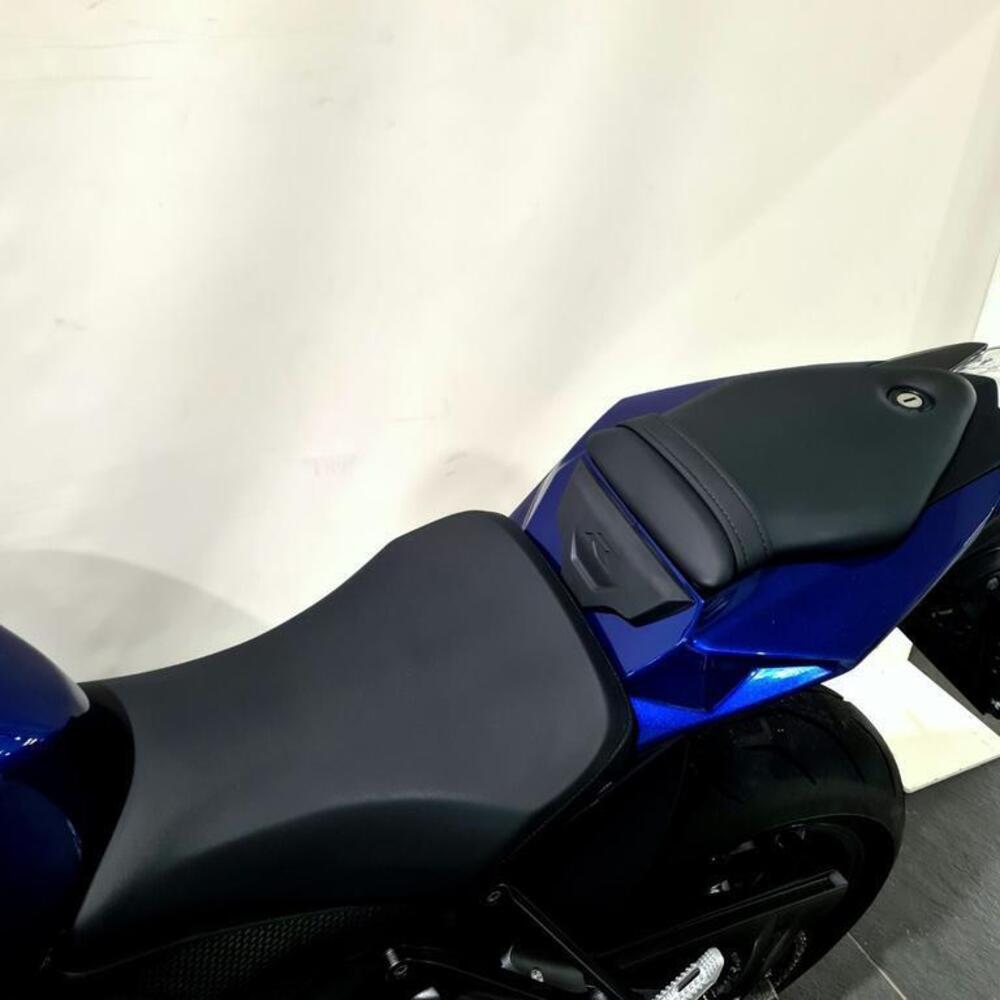 Bmw S 1000 R (2017 - 20) (15)