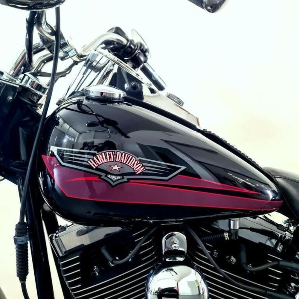 Harley-Davidson 1584 Fat Boy (2006 - 07) - FLSTF (11)