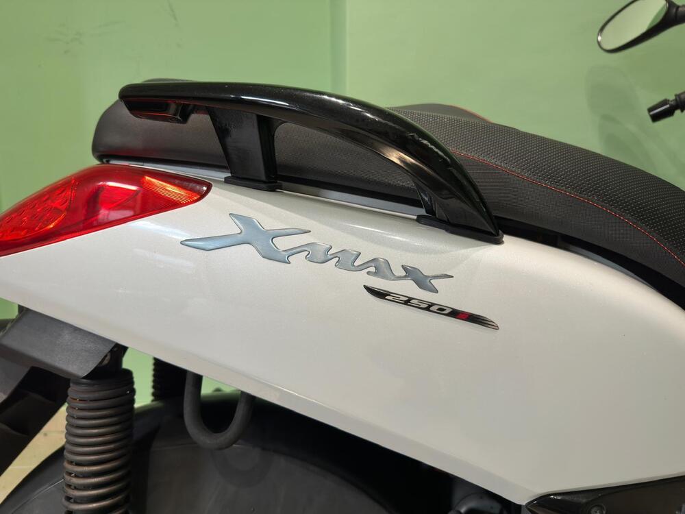 Yamaha X-Max 250 (2007 - 09) (2)