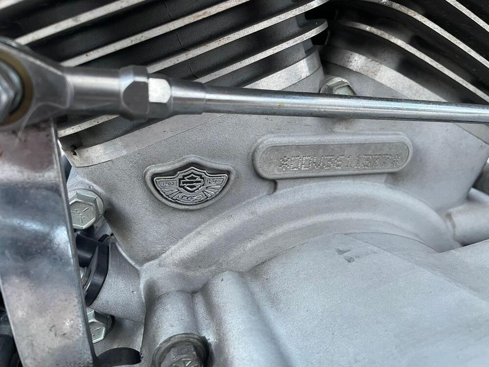 Harley-Davidson 1450 Electra Glide Standard (2001 - 03) - FLHT (3)