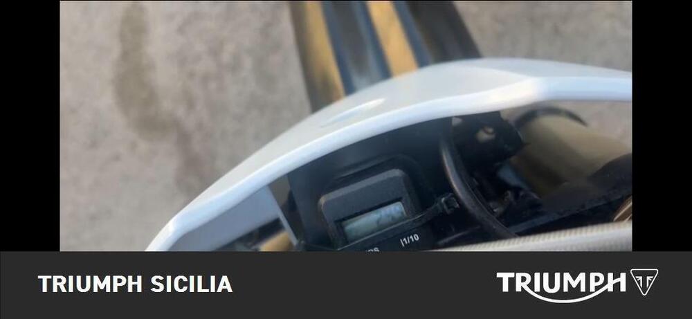 Triumph TF 250-X (2024 - 25) (2)