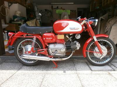 Aermacchi Harley-Davidson ala verde d'epoca