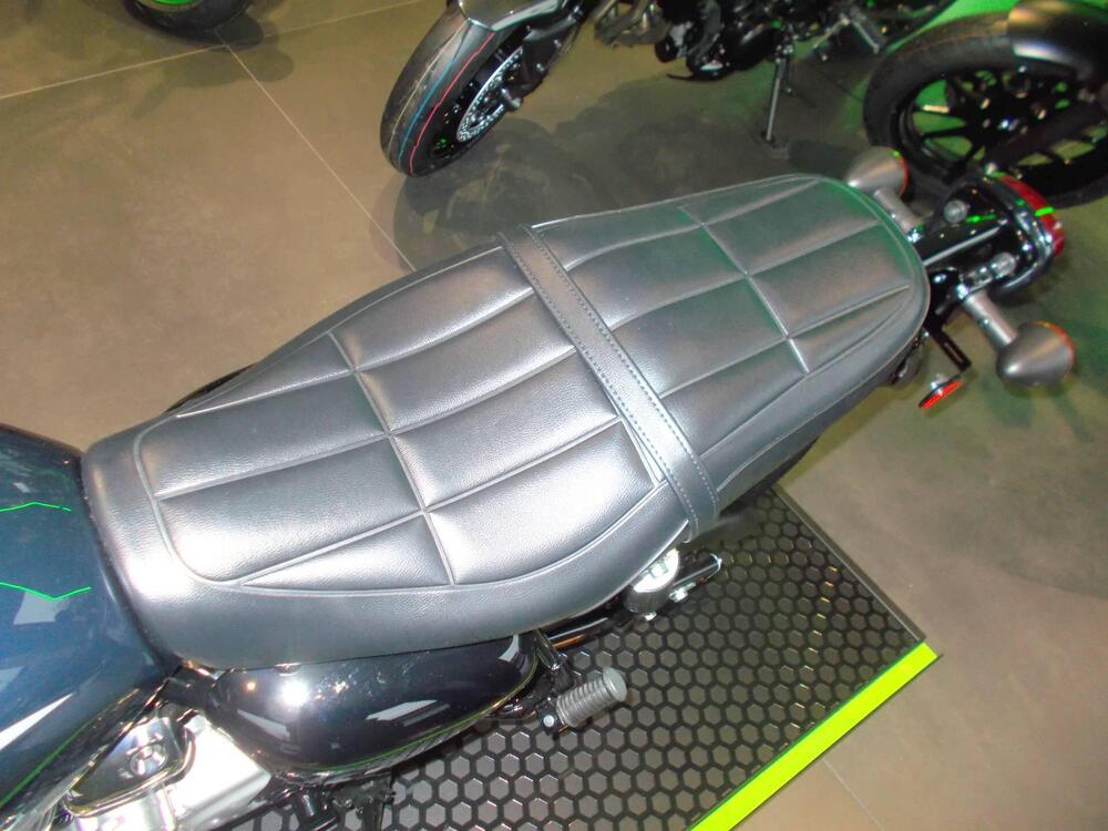 Kawasaki W 230 (2025 - 26) (3)