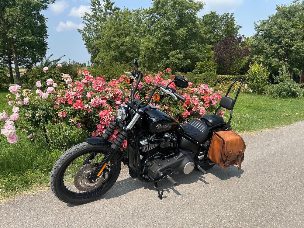 Harley-Davidson 107 Street Bob (2018 - 20) - FXBB