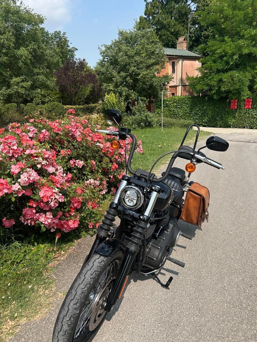 Harley-Davidson 107 Street Bob (2018 - 20) - FXBB (2)