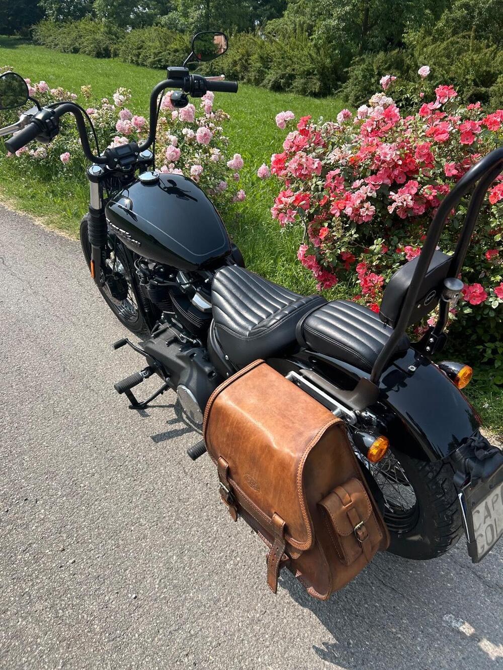 Harley-Davidson 107 Street Bob (2018 - 20) - FXBB (7)