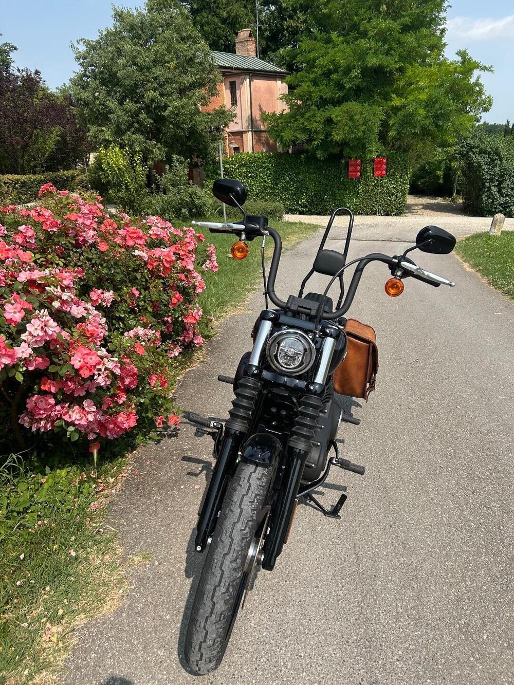 Harley-Davidson 107 Street Bob (2018 - 20) - FXBB (9)
