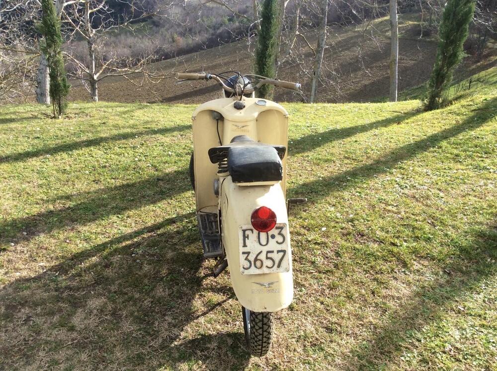 Moto Guzzi Galletto -92 (3)