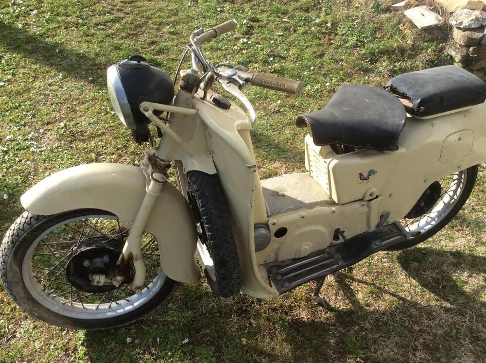Moto Guzzi Galletto -92 (5)