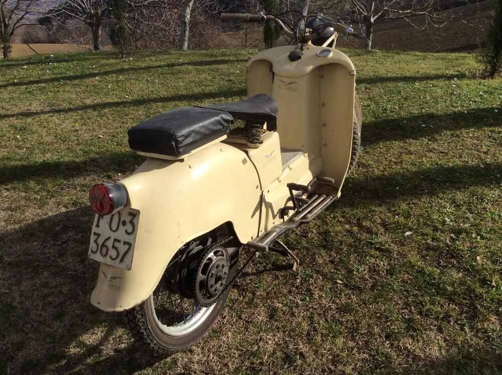 Moto Guzzi Galletto -92 (7)