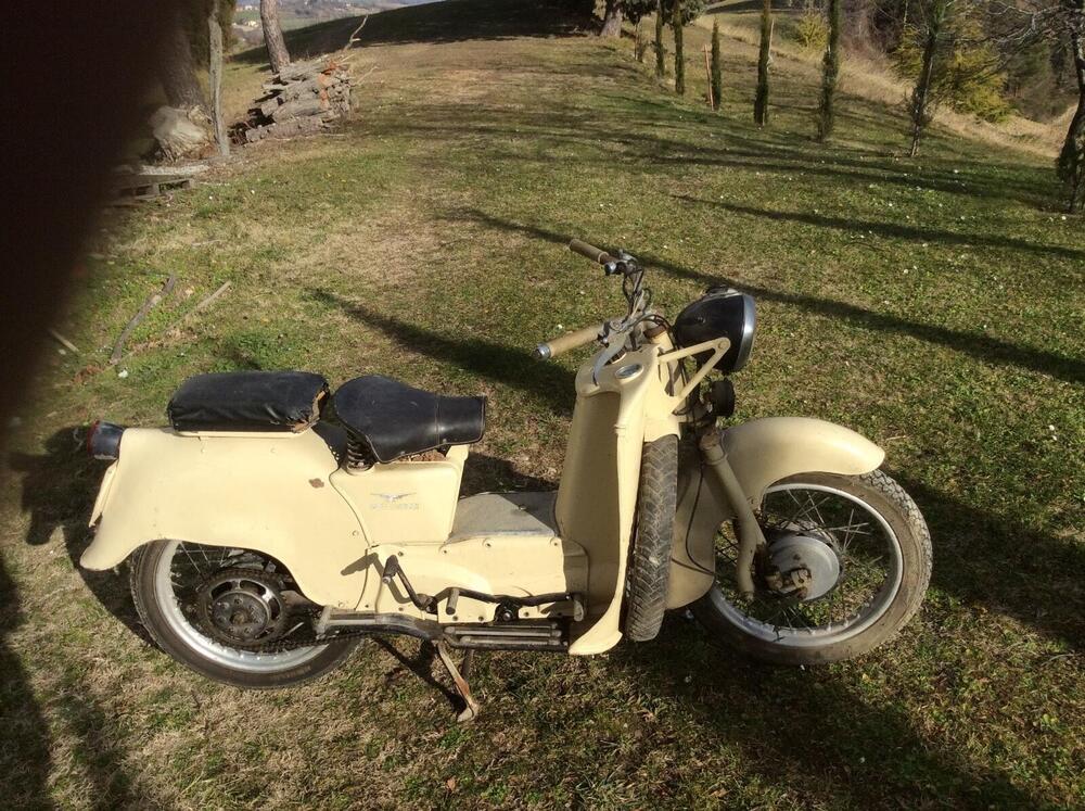 Moto Guzzi Galletto -92 (8)