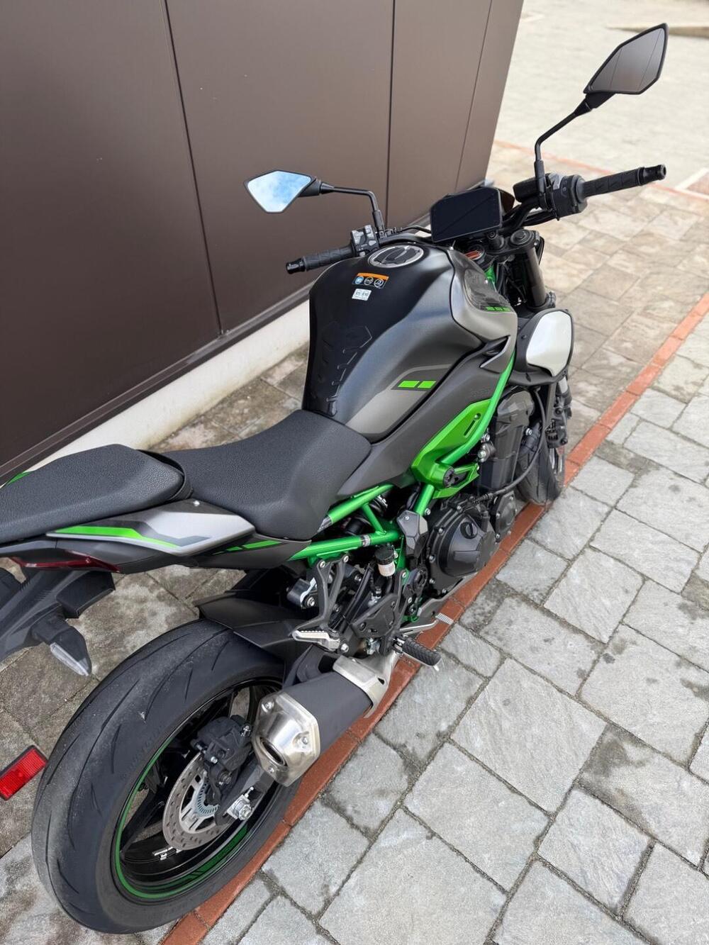 Kawasaki Z 900 (2025 - 26) (4)