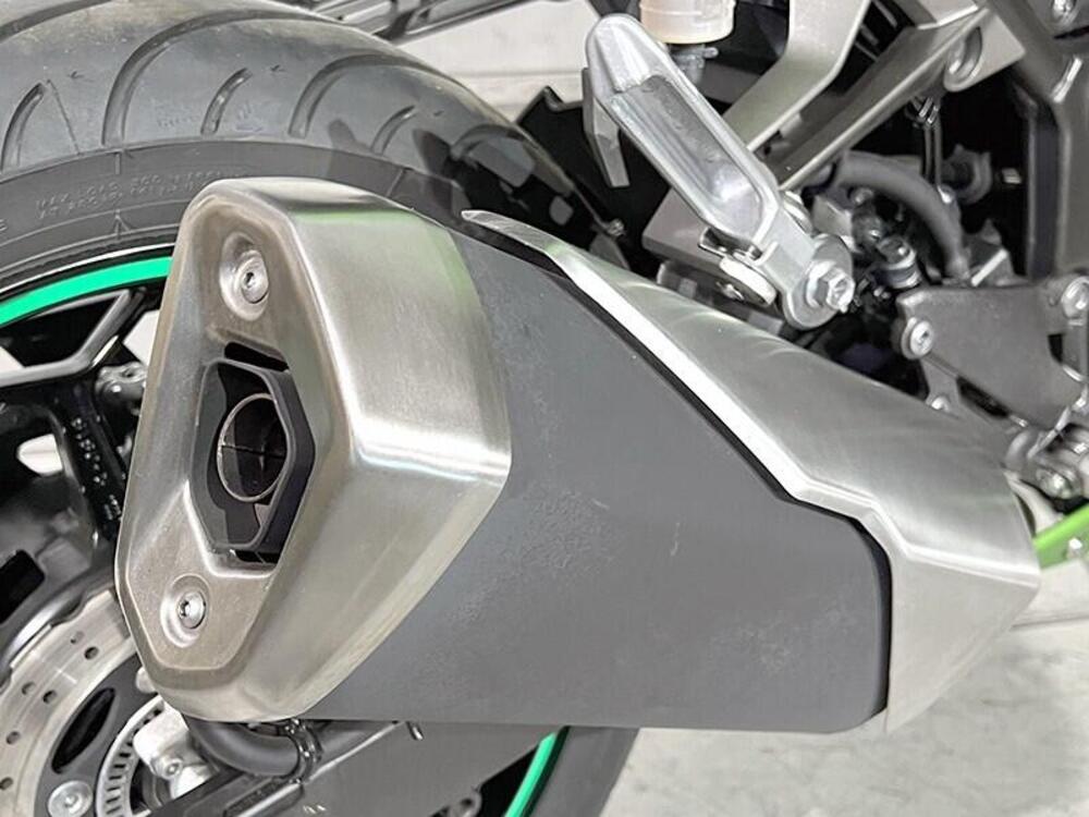 Kawasaki Z 300 ABS (2015 - 16) (3)