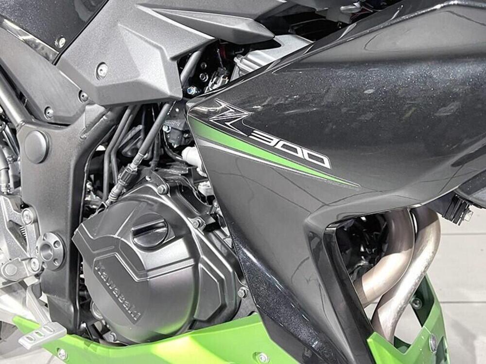 Kawasaki Z 300 ABS (2015 - 16) (4)