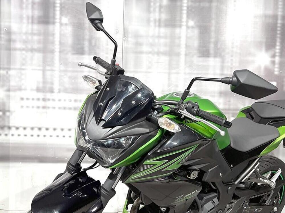 Kawasaki Z 300 ABS (2015 - 16) (5)