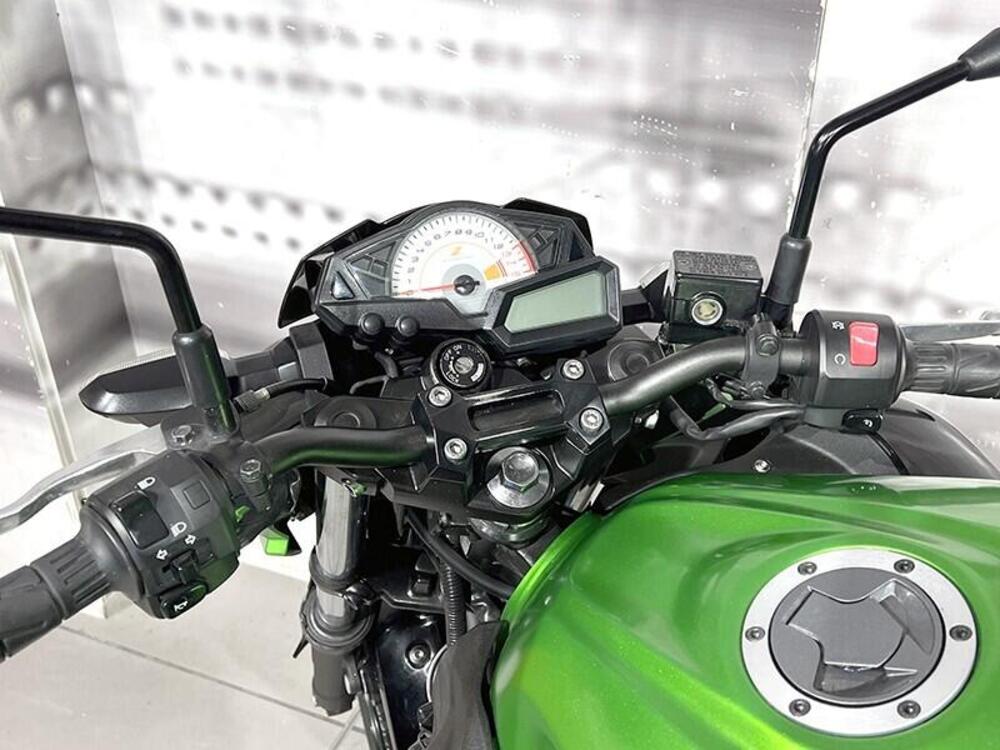 Kawasaki Z 300 ABS (2015 - 16) (6)