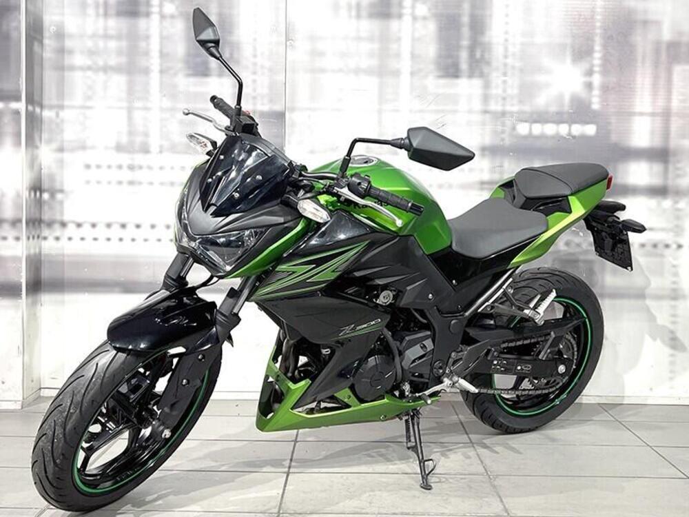 Kawasaki Z 300 ABS (2015 - 16) (7)