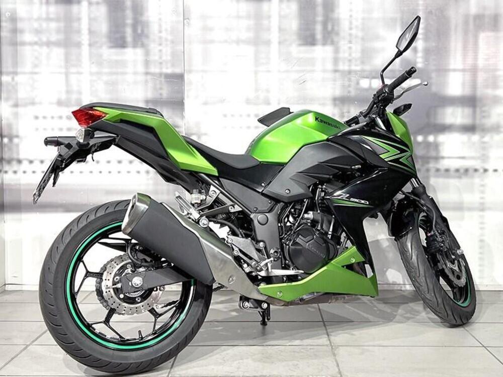 Kawasaki Z 300 ABS (2015 - 16) (8)