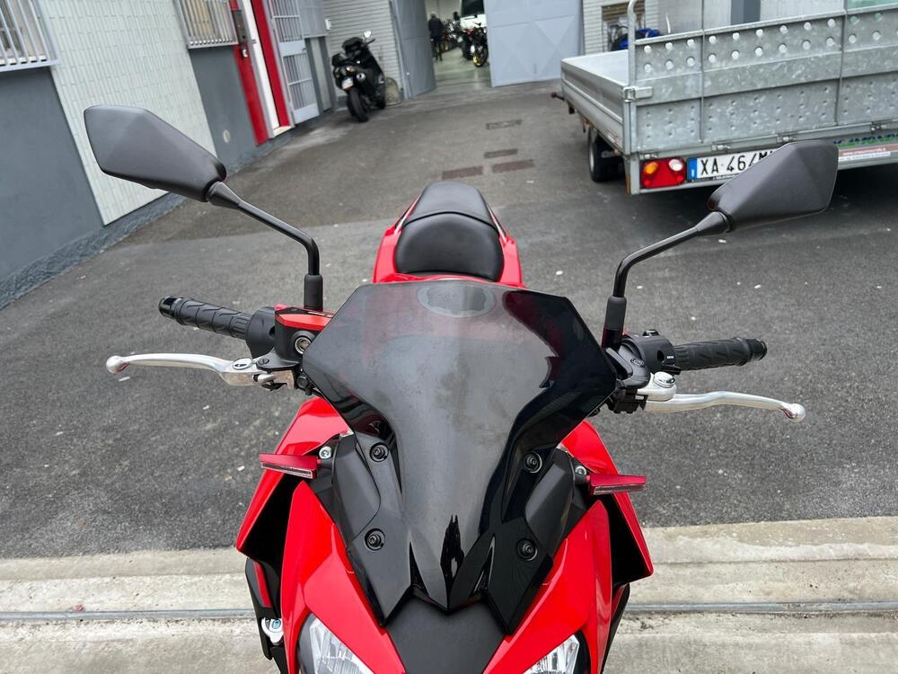 Kawasaki Z 650 50th Anniversary (2022 - 23) (6)