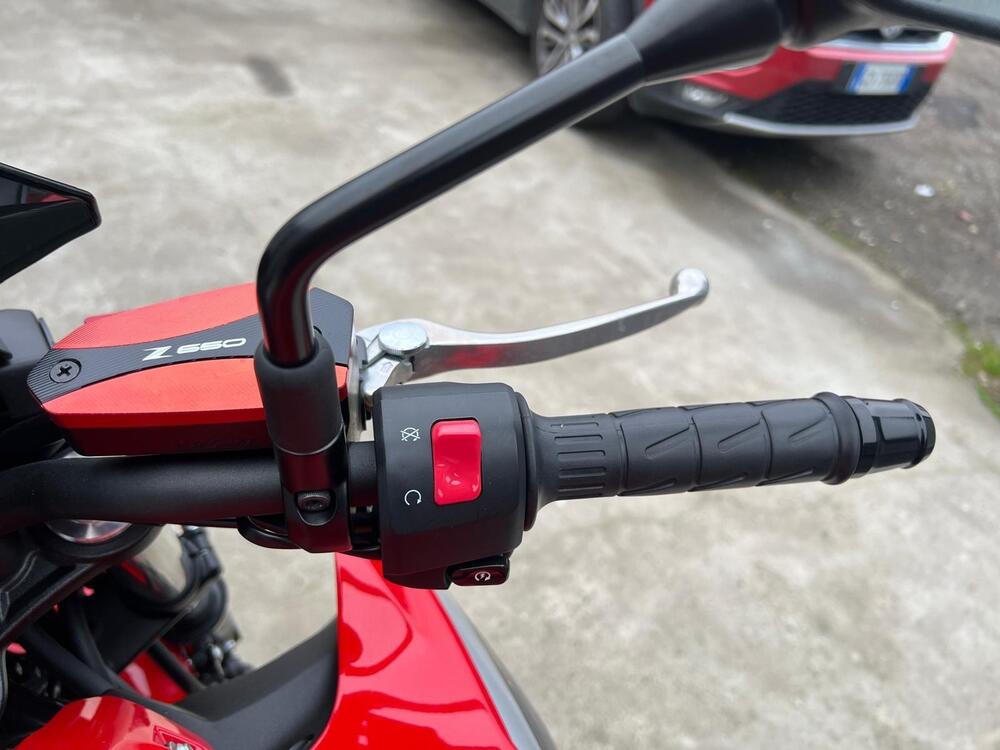 Kawasaki Z 650 50th Anniversary (2022 - 23) (11)