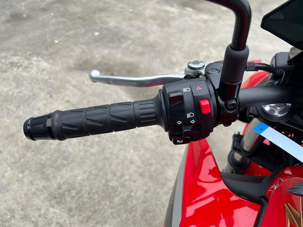 Kawasaki Z 650 50th Anniversary (2022 - 23) (12)