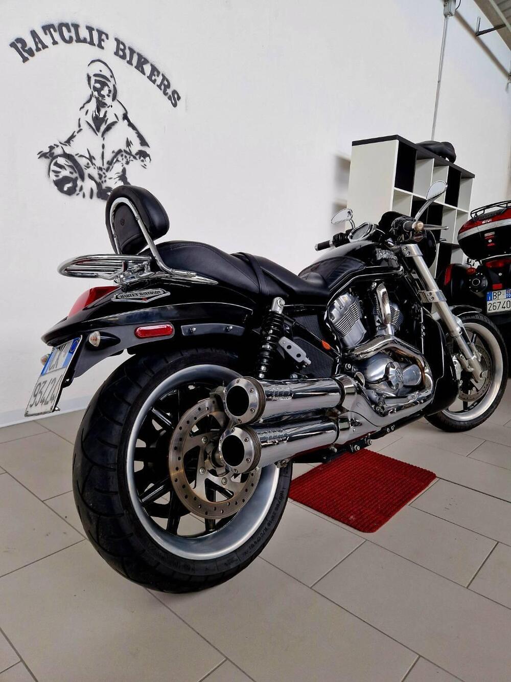 Harley-Davidson 1130 Street Rod (2006 - 07) - VRSCR (6)