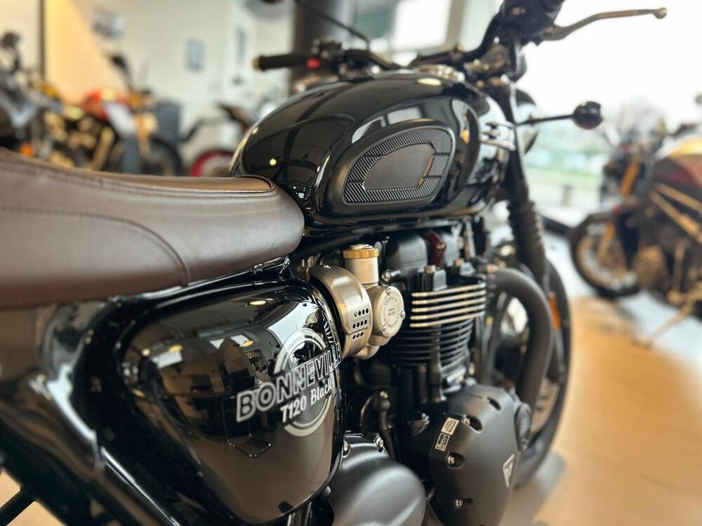 Triumph Bonneville T120 Black (2026) (6)
