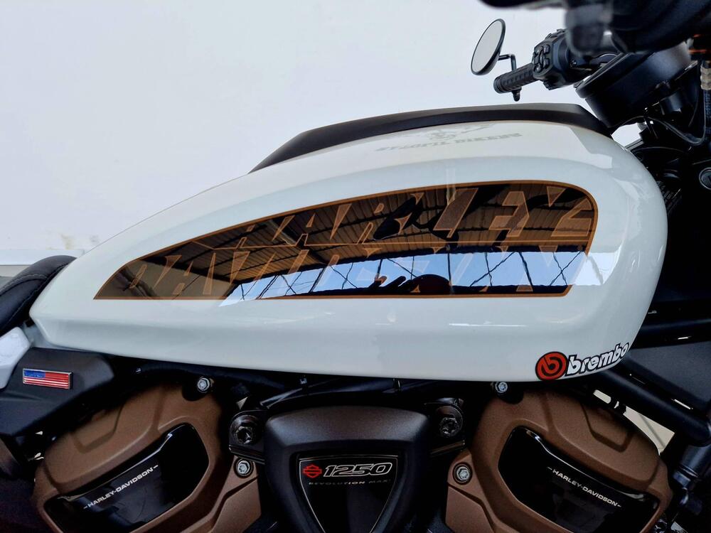 Harley-Davidson Sportster S (2022 - 24) (9)