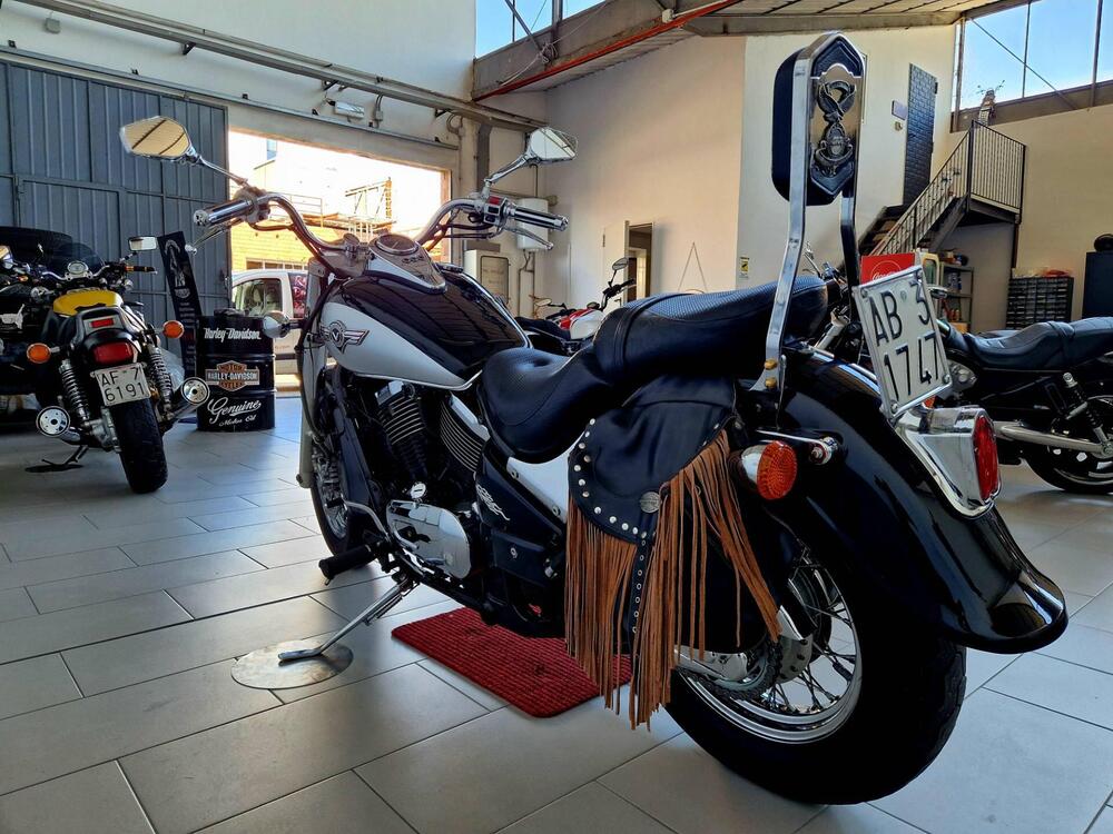 Kawasaki VN 800 Classic (1996 - 00) (5)