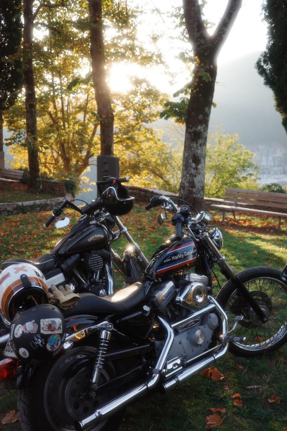 Harley-Davidson 883 Custom (2001 - 05) - XL 53C (10)