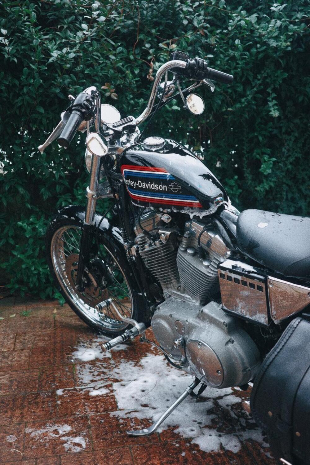 Harley-Davidson 883 Custom (2001 - 05) - XL 53C (4)