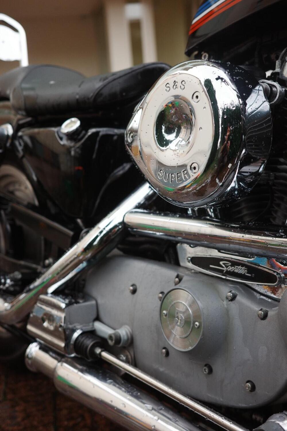 Harley-Davidson 883 Custom (2001 - 05) - XL 53C (5)