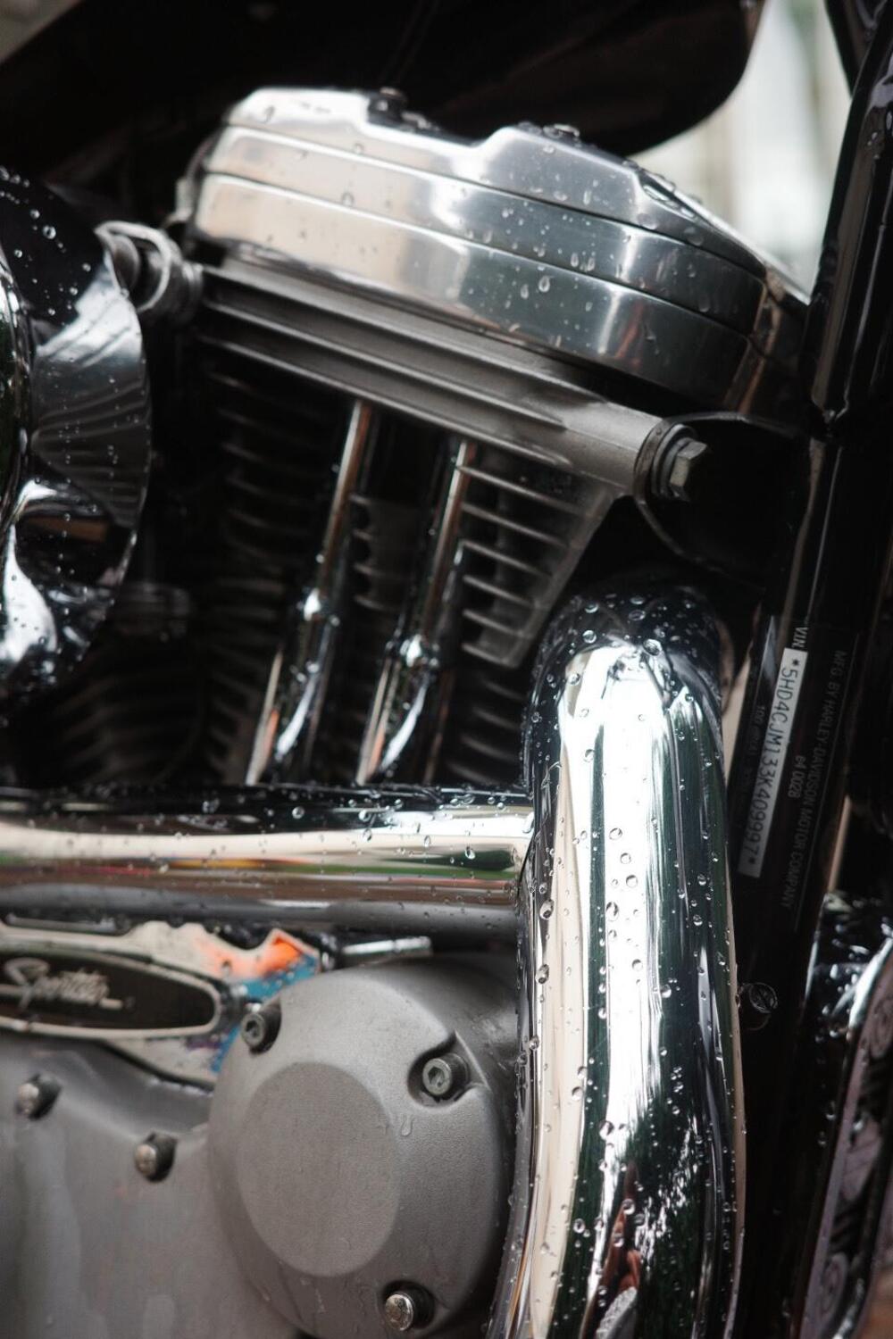 Harley-Davidson 883 Custom (2001 - 05) - XL 53C (6)