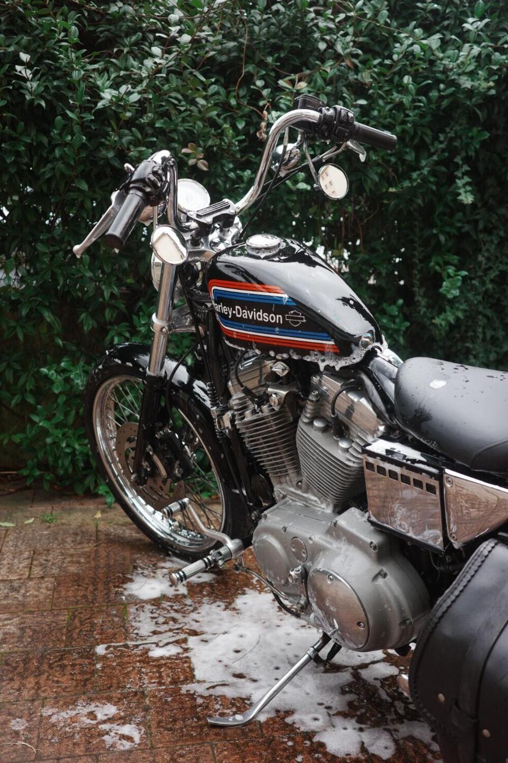 Harley-Davidson 883 Custom (2001 - 05) - XL 53C (7)