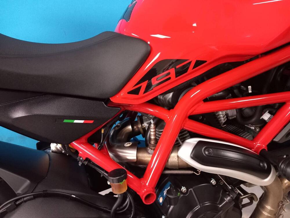 Ducati Monster 797 (2019 - 20) (15)