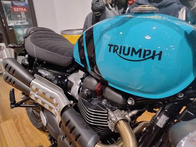 Triumph Scrambler 900 (2023 - 25) nuova