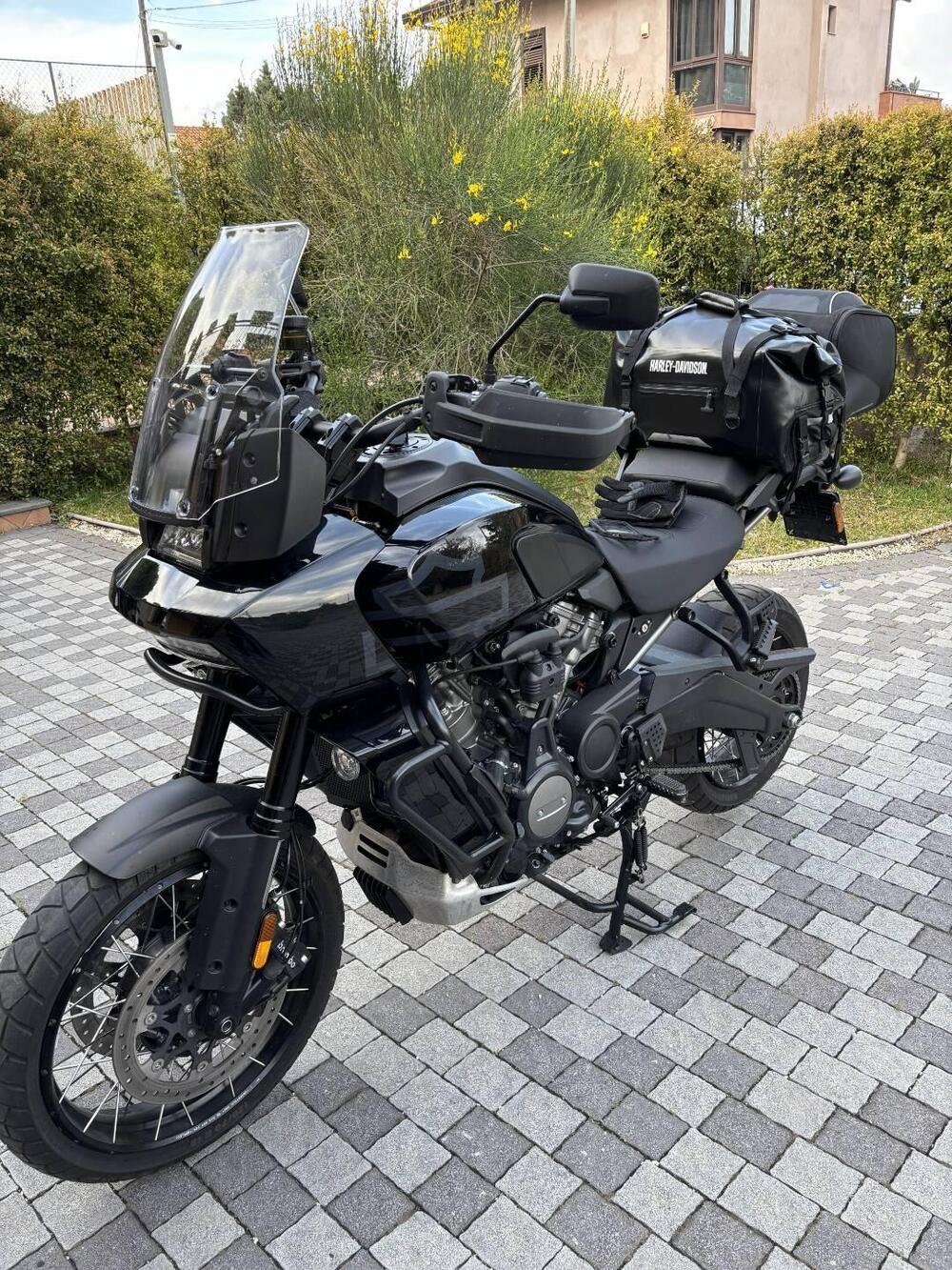 Harley-Davidson Pan America 1250 Special (2020 - 25) (5)