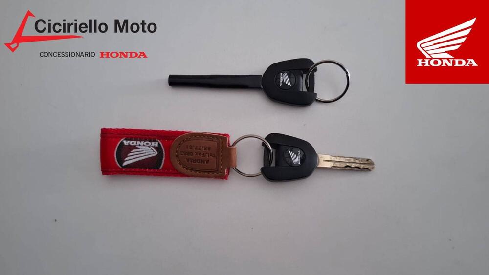 Honda CB 500 Hornet (2024 - 25) (4)