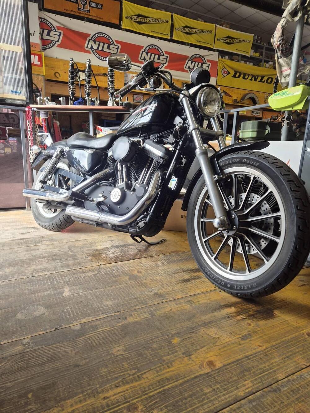 Harley-Davidson 883 Standard (2001 - 05) - XL 883